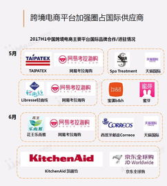 2017上半年中國跨境電商市場研究報告 便宜的海淘物流成為發(fā)展關鍵