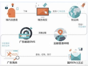 圖說海淘 個人包裹直郵進口清關代理、行郵清關與深圳物流服務全解析，助您找到便宜高效的海淘物流方案