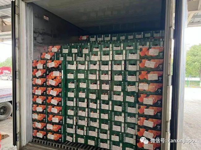 中新物流全線降價 海運快遞低至4.5元/公斤，開啟輕松海淘新時代